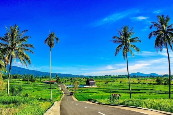 Peluang Pengembangan Desa Wisata Berbasis Kearifan Lokal di Desakadongdong Peluang Pengembangan Desa Wisata Berbasis Kearifan Lokal di Desakadongdong