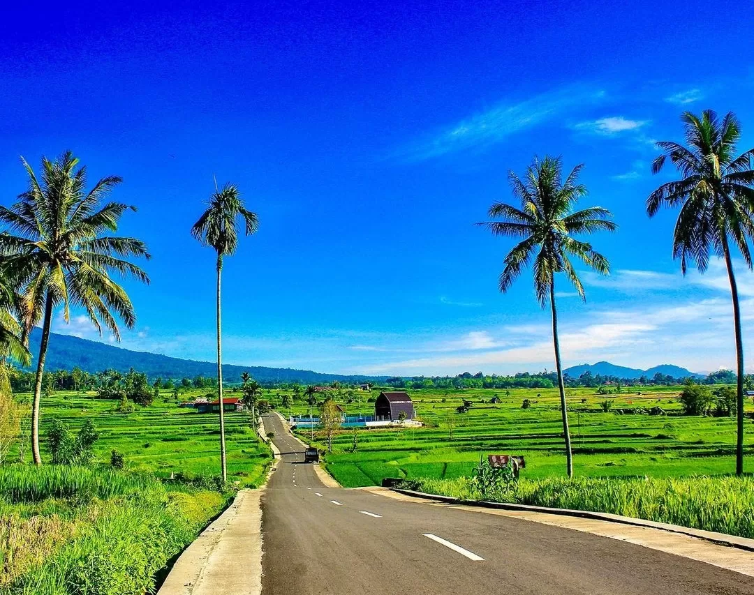 Peluang Pengembangan Desa Wisata Berbasis Kearifan Lokal di Desakadongdong